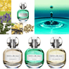 The Bubble Collection Fragrance CHILL HARMONY BUBBLE